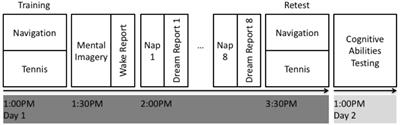 A Novel Approach to Dream Content Analysis Reveals Links Between Learning-Related Dream Incorporation and Cognitive Abilities